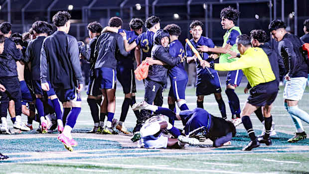 city-section-soccer-fight